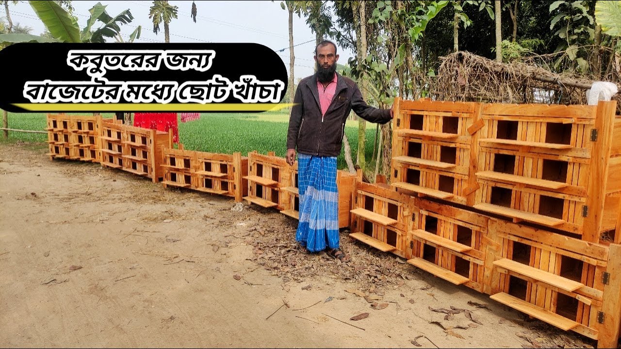 কাঠের তৈরি কবুতরের খাঁচা।।বাজেট অনুযায়ী ছোট খাঁচা। pigeon Lover Bd.2022 new video.