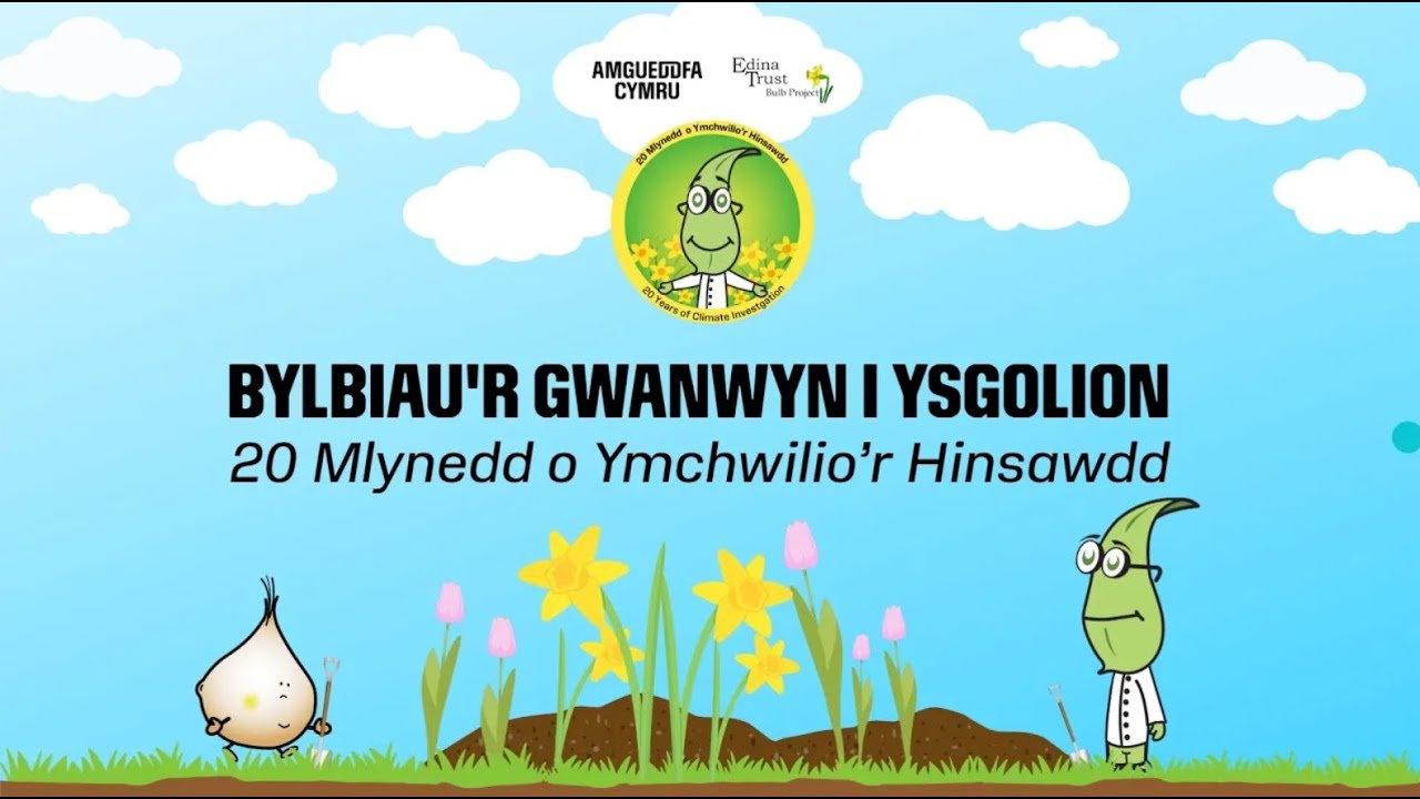 Bylbiau'r Gwanwyn i Ysgolion | 20 Mlynedd o Ymchwilio’r Hinsawdd