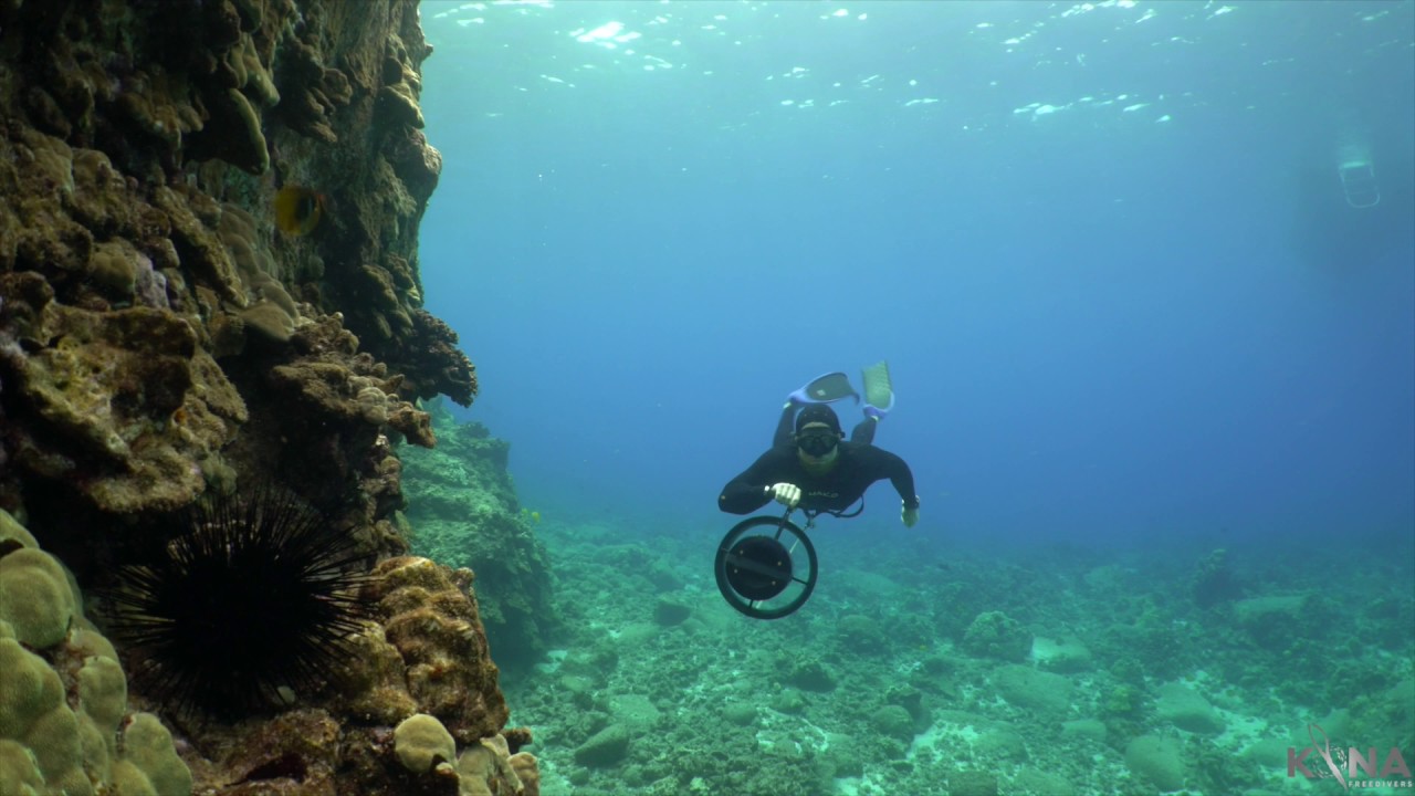 Freediving Hawaii's Reefs | Kona Freedivers