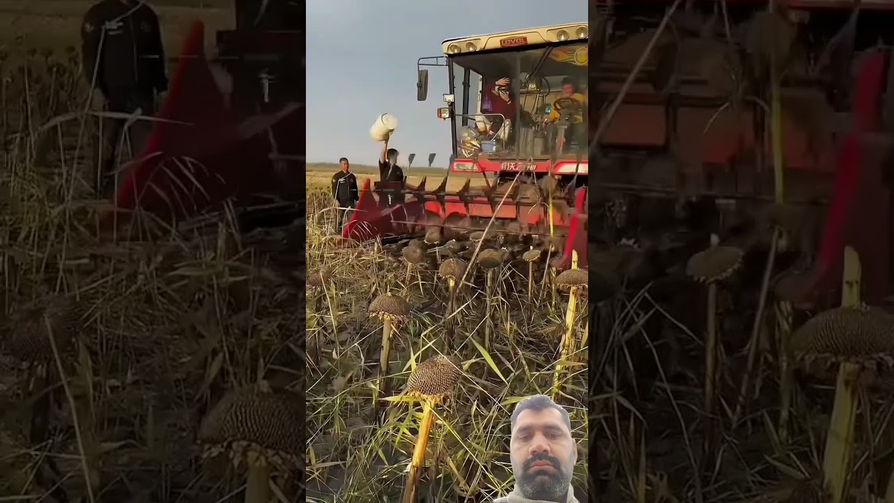 #farming