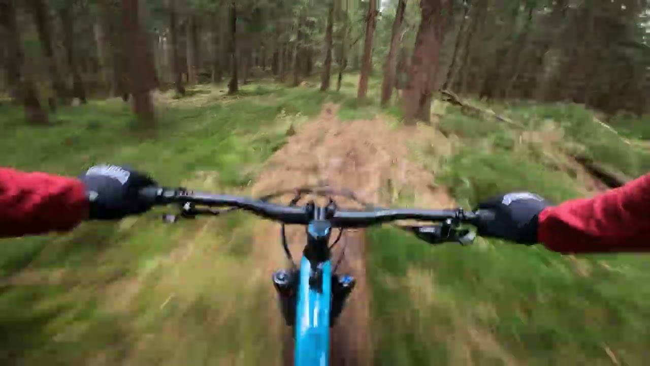 Trail po Polsku