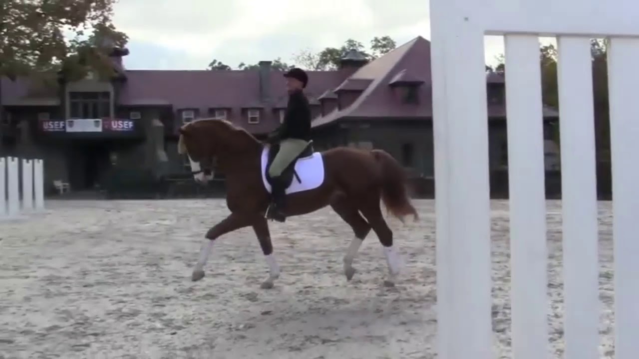 Show Jumping Legend George Morris Riding a Grand Prix Dressage Horse