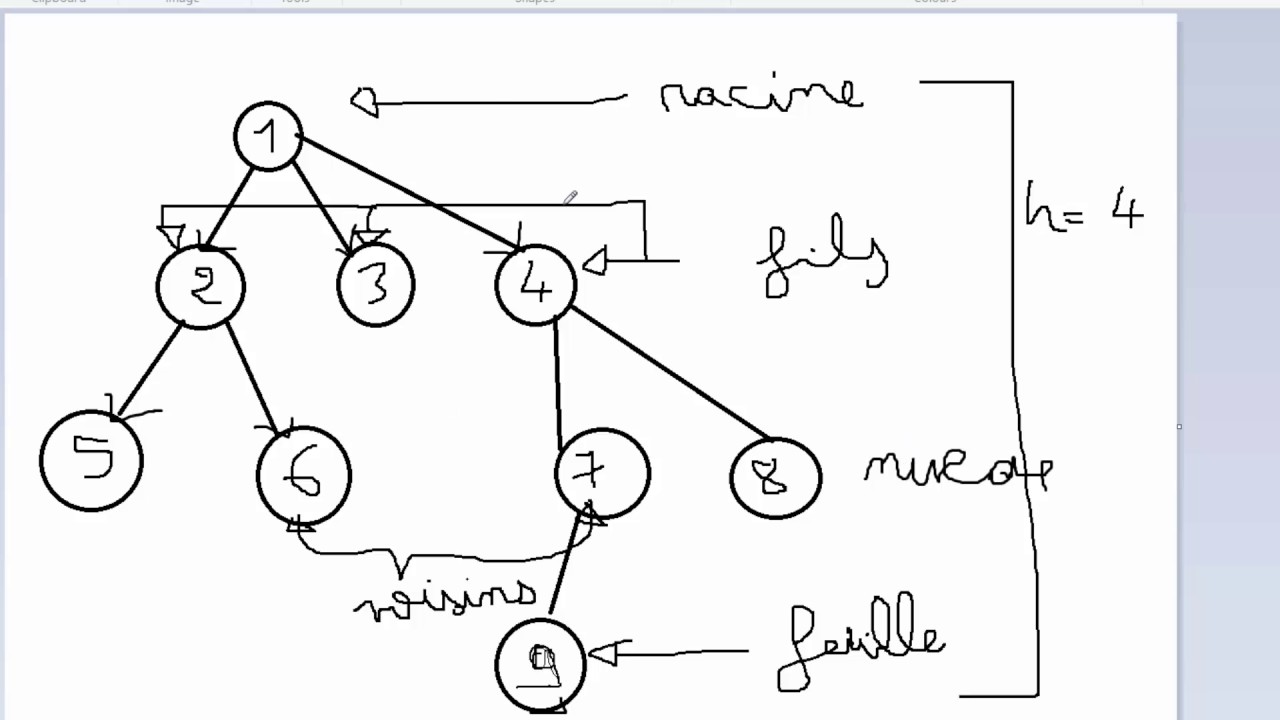 Structure de donn&eacute;es Arbre : Notions de bases