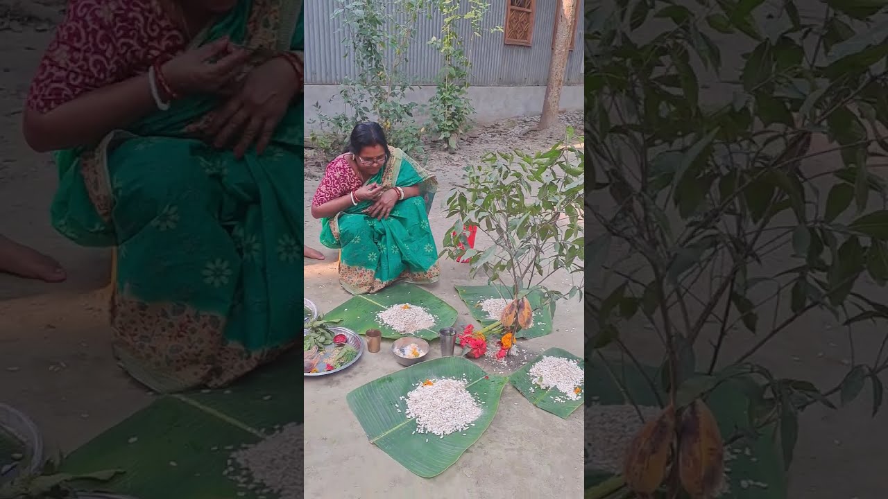 ||Daily Vlog || দাদার বিয়ের বুড়িমার পুজো ও হলুদ কোটার অনুষ্ঠান!🌼☘️#vlog #videoviralシ #widding 