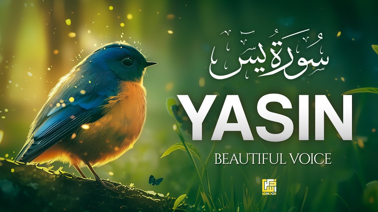 Surah Yaseen (Yasin) سورة يس | Soothing Lofi Quran for Ultimate Peace & Deep Healing 