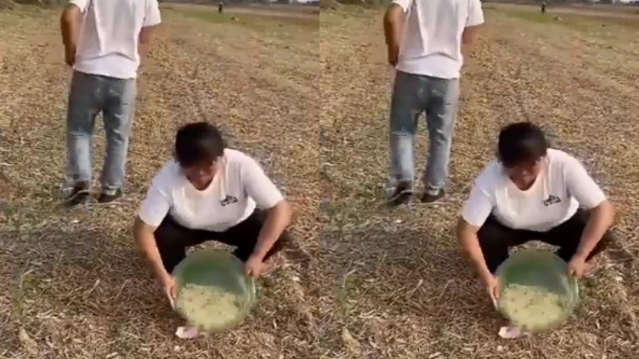 Funny Videos Chinese Funny Video