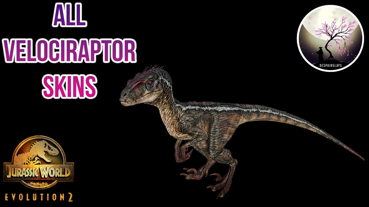 ALL VELOCIRAPTOR SKINS SHOWCASE!! [4K] Jurassic World Evolution 2