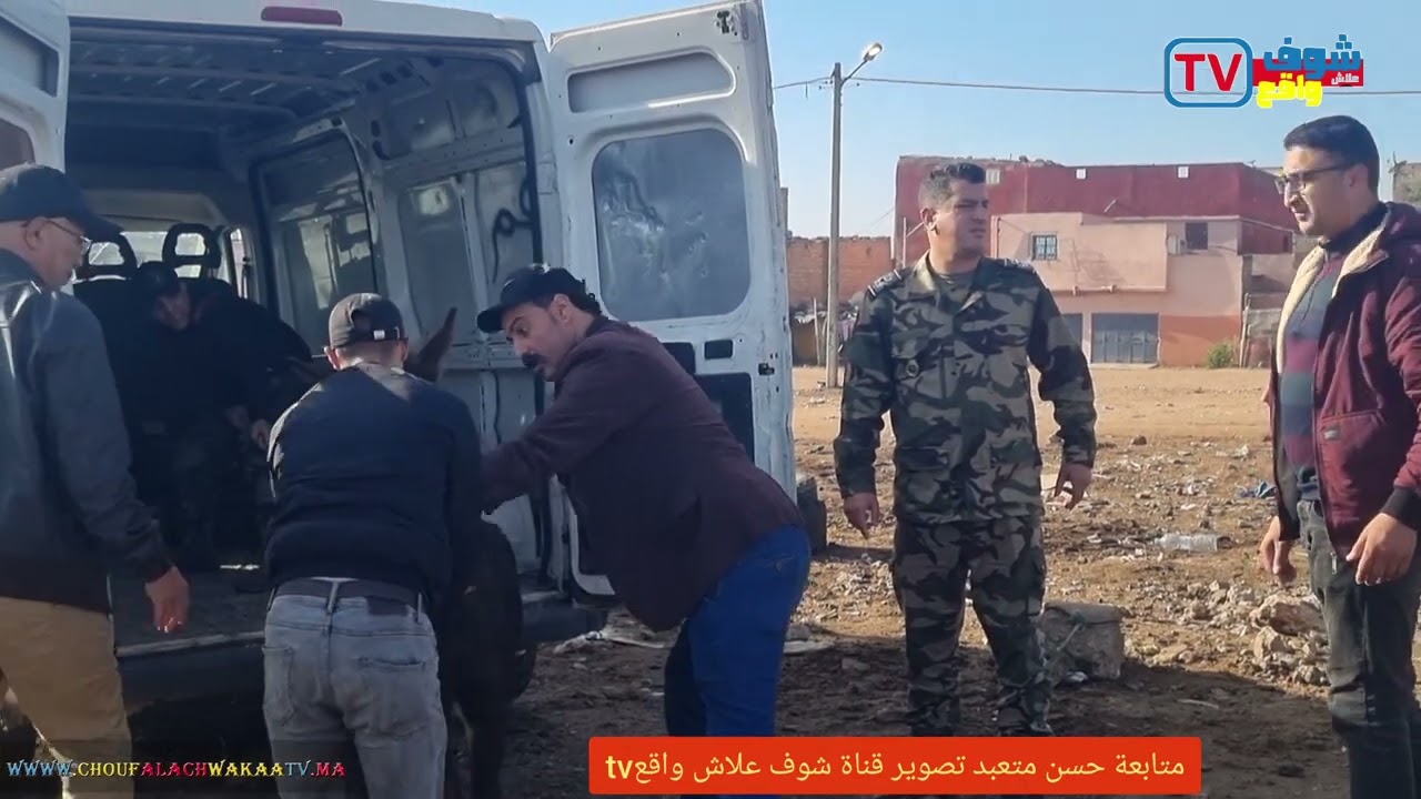 شوف باشا سعيد وقايد محسن و قايد ديال لهراويين وسلطة المحلية شنو ديرا ماكاين غير صيفط الدواب الفوريان