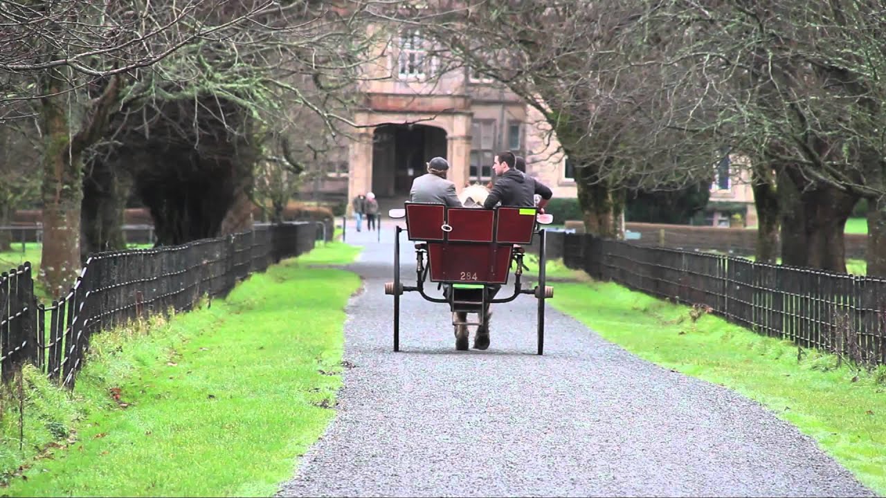 Jaunting Car Tours Around Killarney