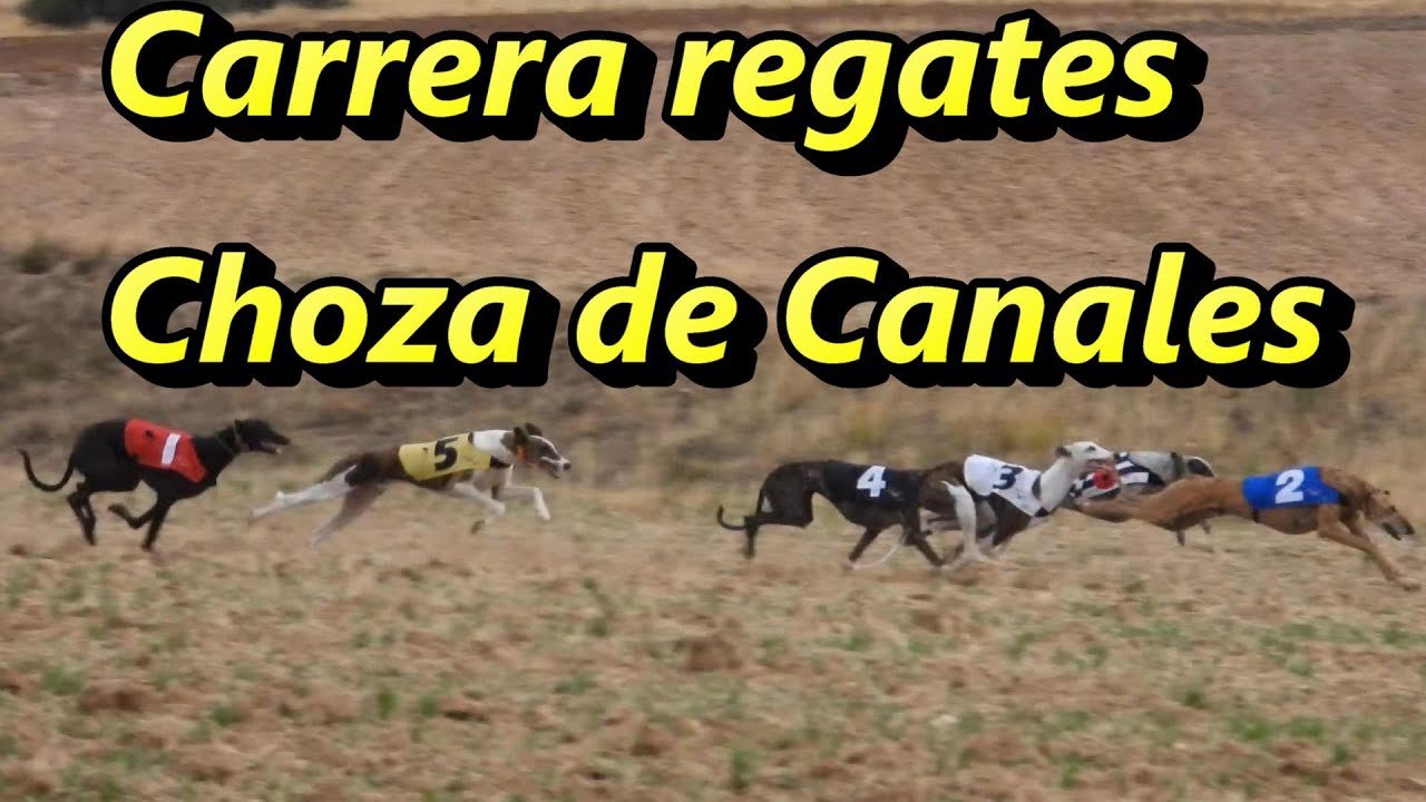 Carrera de regates en Chozas de Canales, 11 septiembre 2021