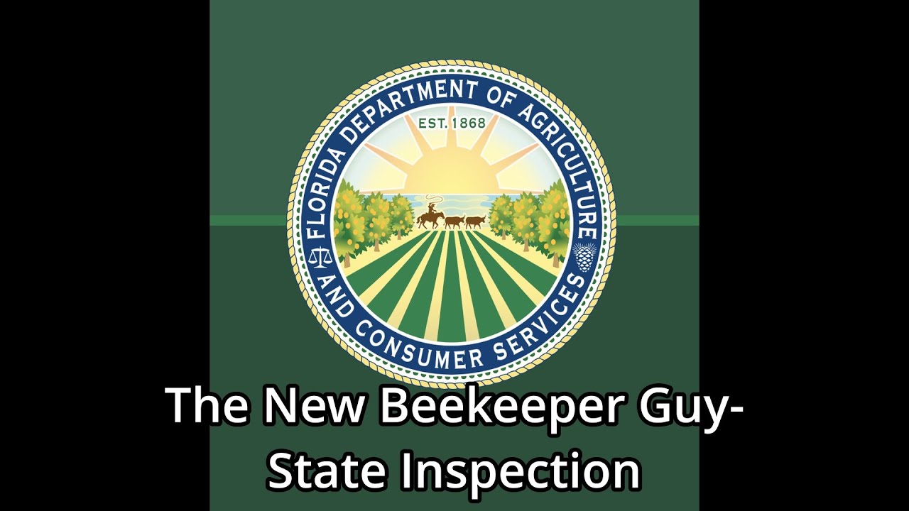 The New Beekeeper Guy- State Inspection