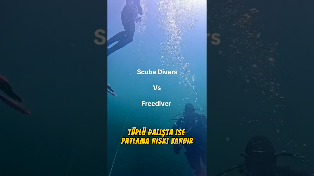 Dalış Yapmadan &Ouml;nce Bunu Bilmelisin! #divng #dalgı&ccedil; #freediver #scubadiving #shortvideo