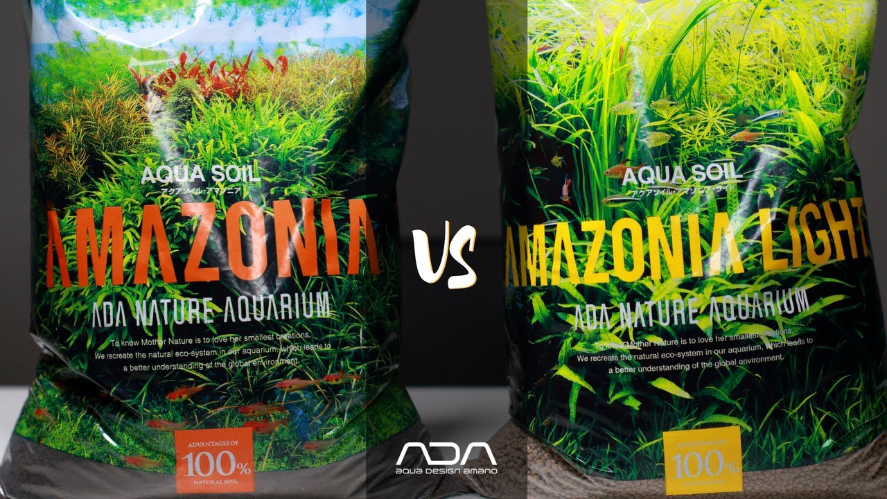 Amazonia vs Amazonia light - ADA Basics series - English