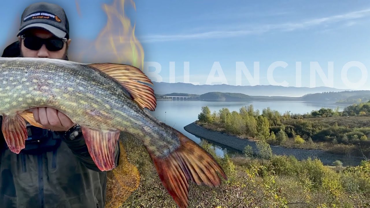 I LUCCI DEL MUGELLO E IL BIG ALL' ULTIMO LANCIO - Pesca al luccio a spinning al lago di Bilancino