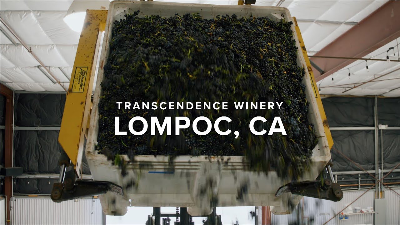 Transcendence Wines: Discover the Heart of the Sta. Rita Hills