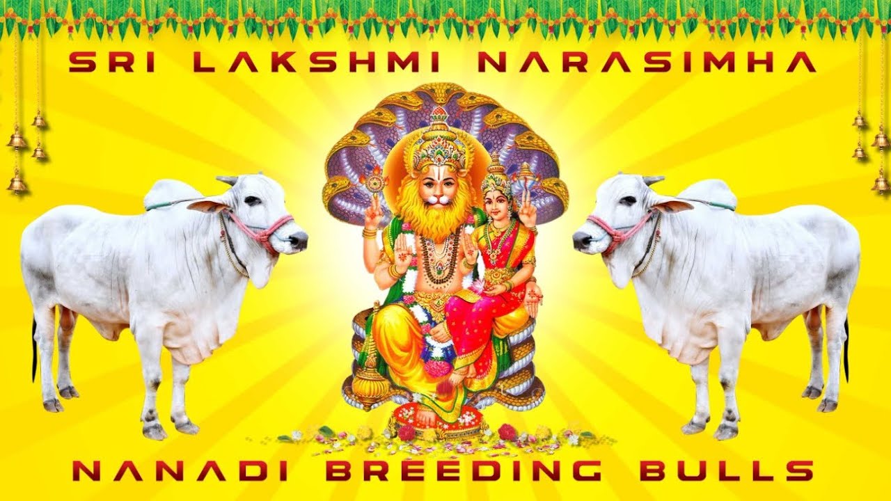 Narasaraopeta seniors, first place, Kasanneni Raja Gannavaram Vallabhaneni Mohan Rao Garu Vijayawada