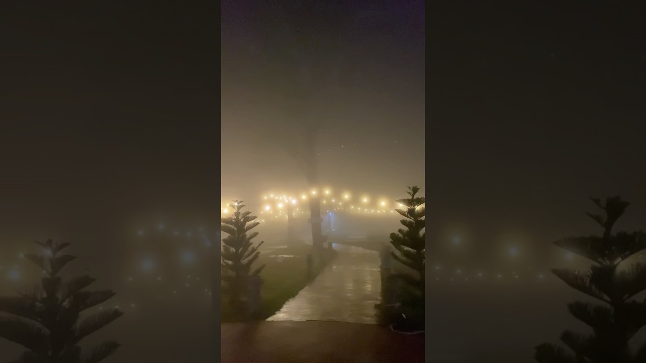 #foggynight
