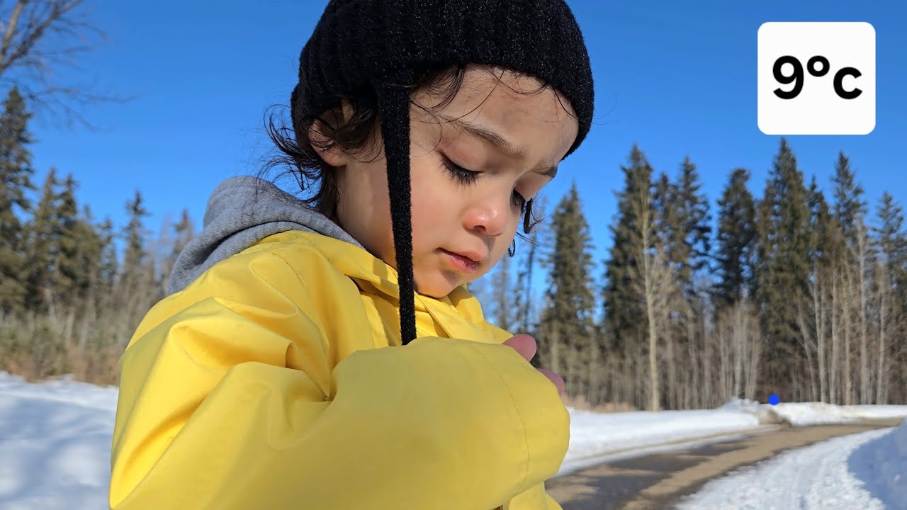 Out on hiking today | Temperature is rising