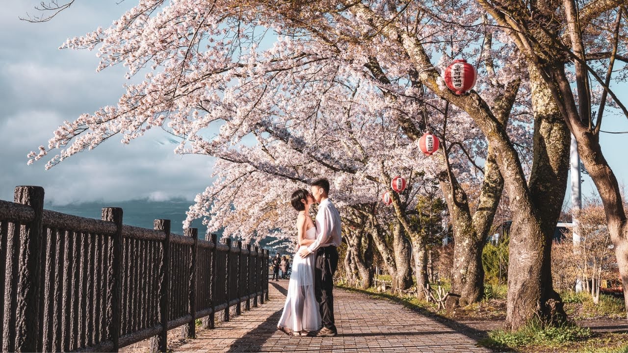 Exploring Japan in Cherry Blossom Season