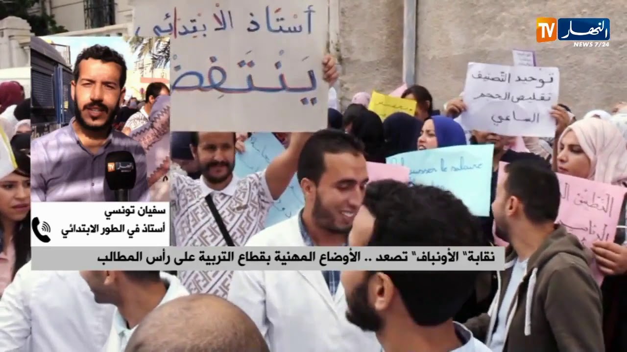أستاذ في الإبتدائي: 