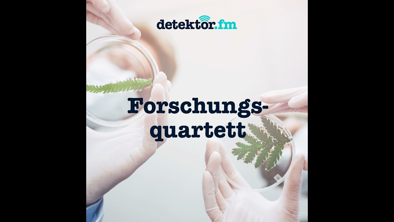 Pfingstbewegung: Missionieren f&uuml;r das K&ouml;nigreich Gottes