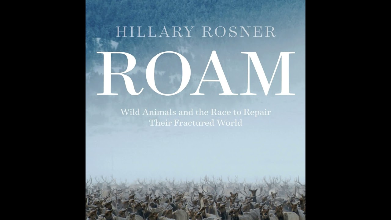 Author Hillary Rosner on her new book 