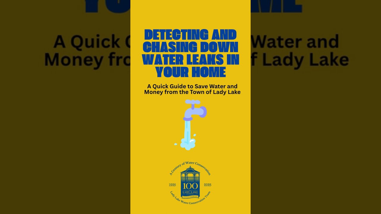 Detecting and Chasing Down Water Leaks in Your Home (Mobile Short)