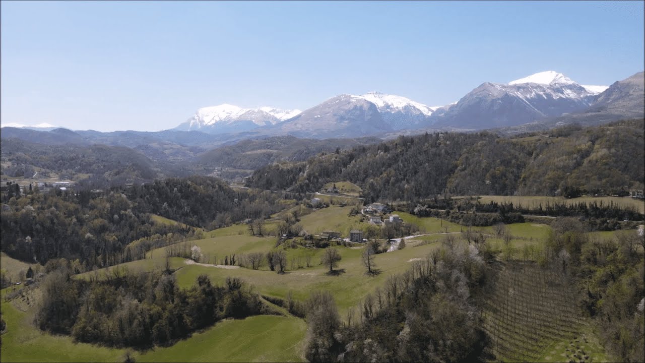 La Tenuta del Conte