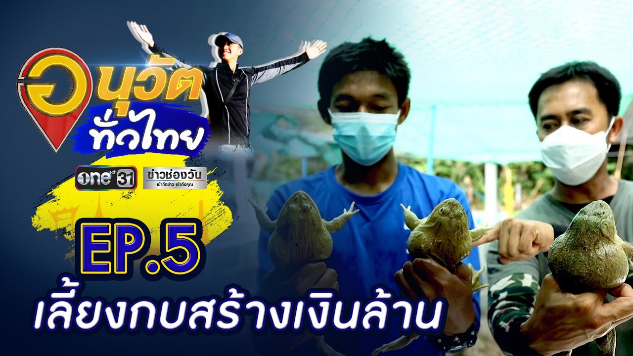 ฟาร์มกบเงินล้าน ถิ่นบุรีรัมย์ | อนุวัตทั่วไทย | EP.5 | ข่าวช่องวัน | one31