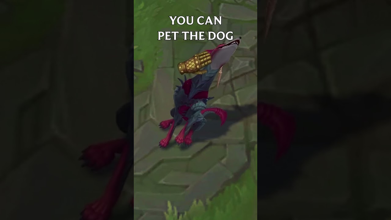 YOU CAN PET NAAFIRI
