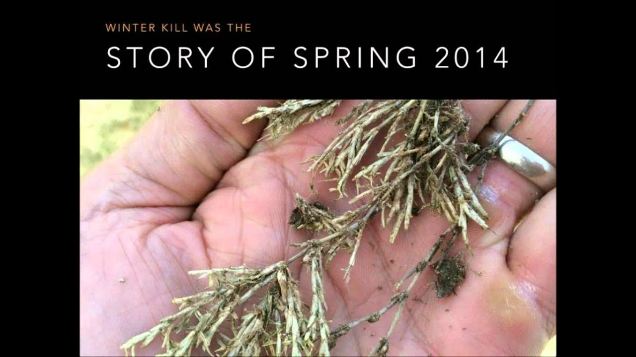 Webinar: Managing Broadleaf & Grassy Weeds in Warm-Season Turf