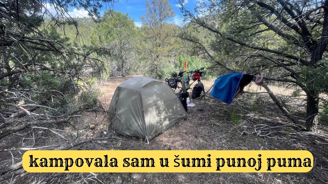 KAMPovala sam U ŠUMI PUNOJ PUMA! [S4-194]