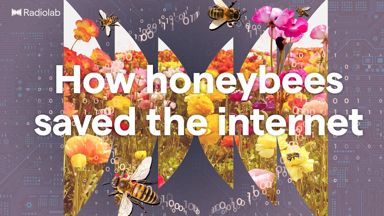 Time is Honey | Radiolab Podcast