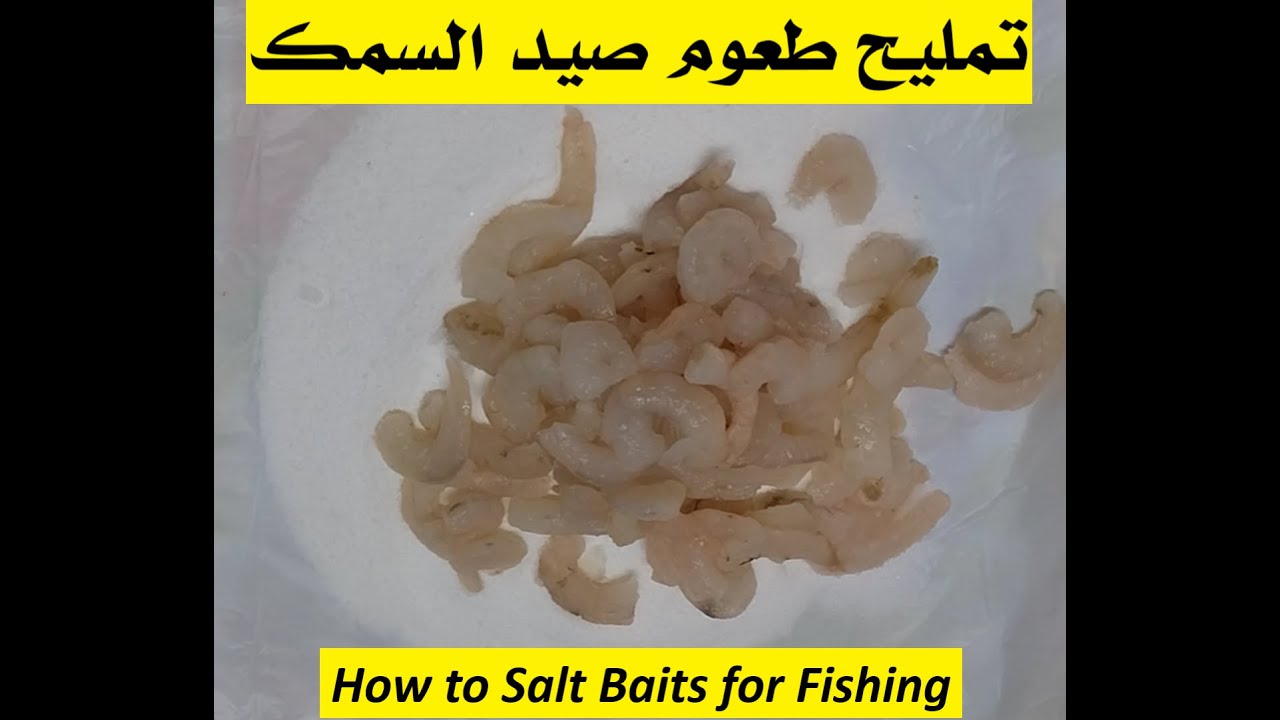 240502 How to Salt Baits for fishing  طريقة تمليح طعوم صيد الأسماك