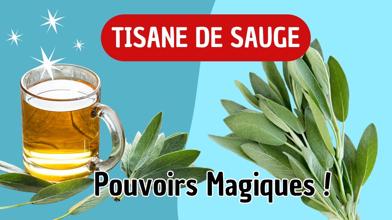 Pourquoi Tout le Monde parle de la tisane de sauge ?