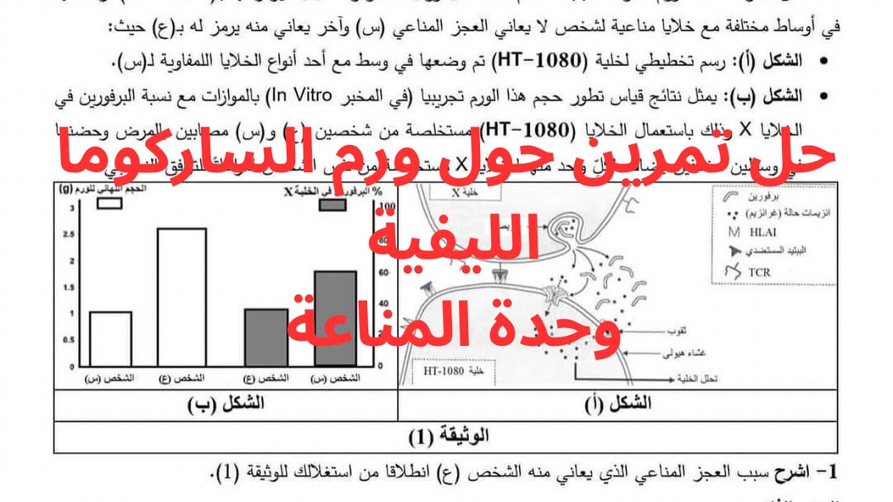 حل تمرين مقترح حول ورم الساركوما الليفية وحدة المناعة