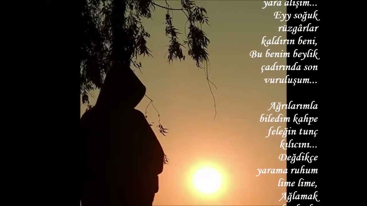 ÖZDEMİR AYDIN-------YORUM : SERNİL DESTİNA-----SON VURULUŞ