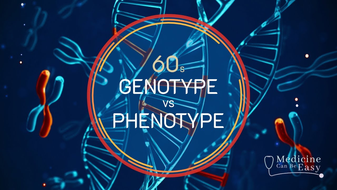 Genetics in 60 seconds: Genotype vs Phenotype