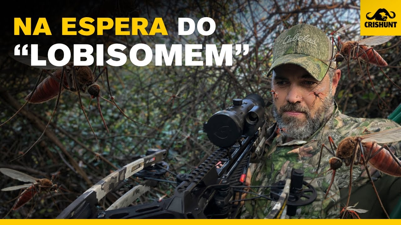 Na espera do 