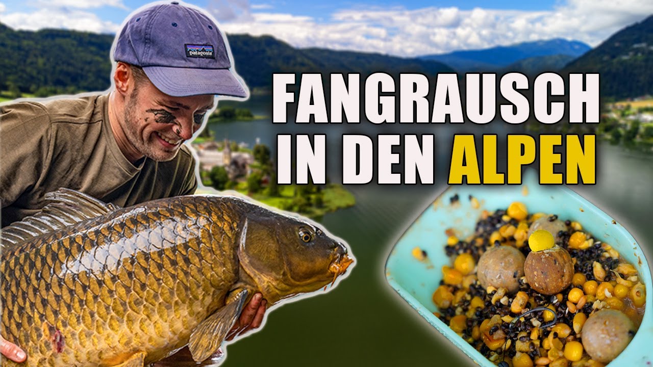 Karpfenangeln in den Alpen - Der See ist VOLL mit Fisch