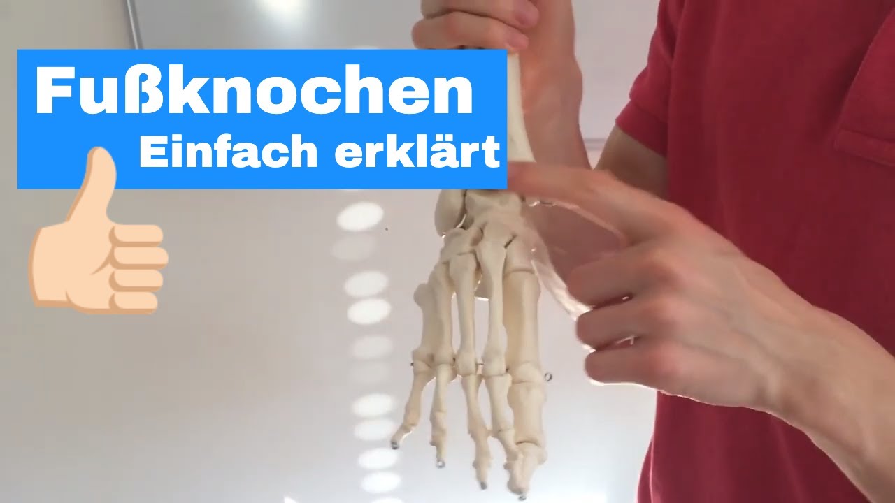 Fu&szlig;knochen