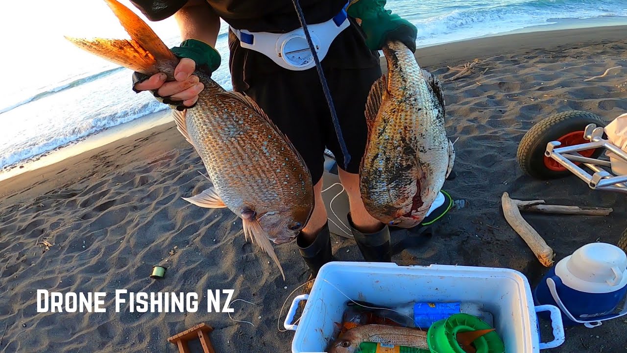Drone Demo Day Taranaki Big Snappers Caught | Drone Fishing NZ