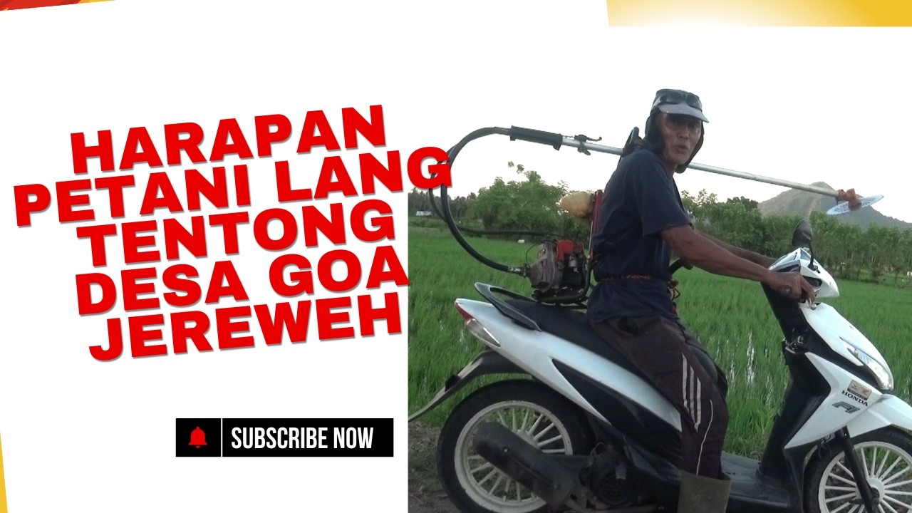 Harapan Petani Lang Tentong Desa Goa Jereweh
