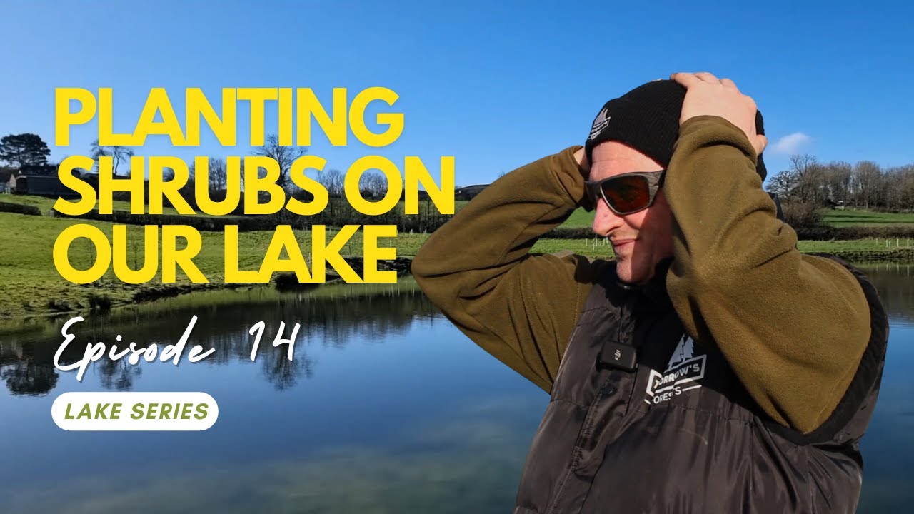 Planting Shrubs On Our Lake