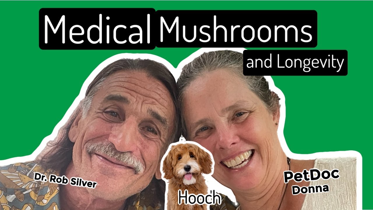Podcast with Dr. Rob Silver