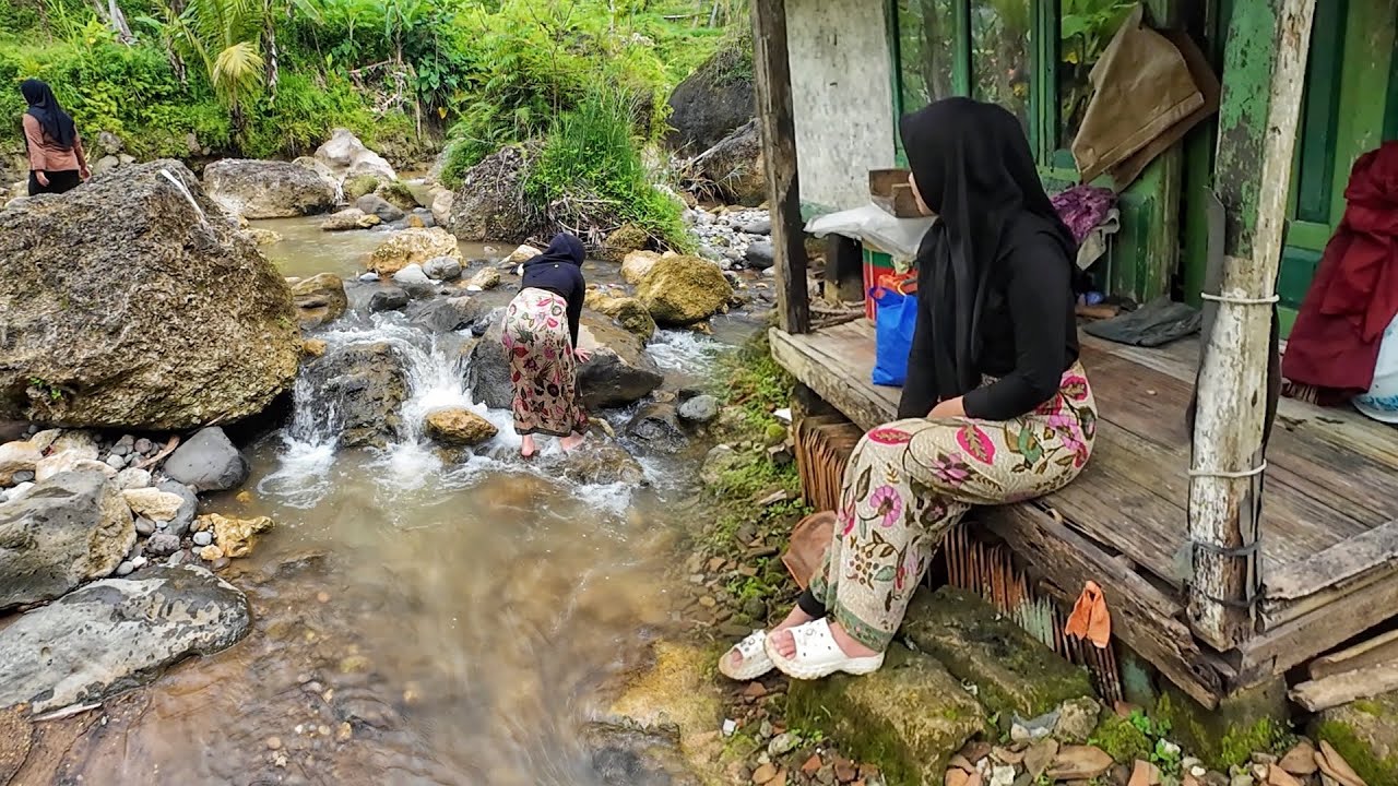 Suasana Pagi Di Kampung Yang Tenang, Setelah Hujan Mengguyur Kampung Yang Indah, Pedesaan Jawa Barat