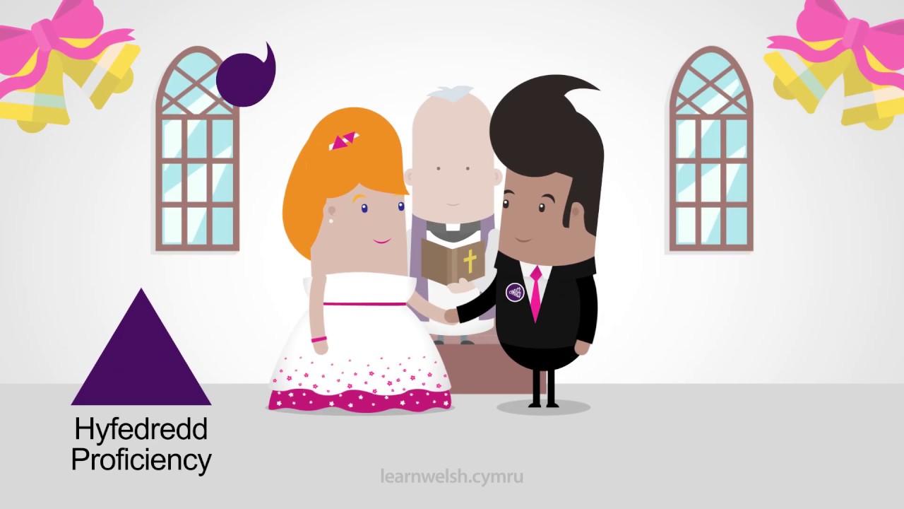 Lefelau cyrsiau Dysgu Cymraeg / Learn Welsh course levels