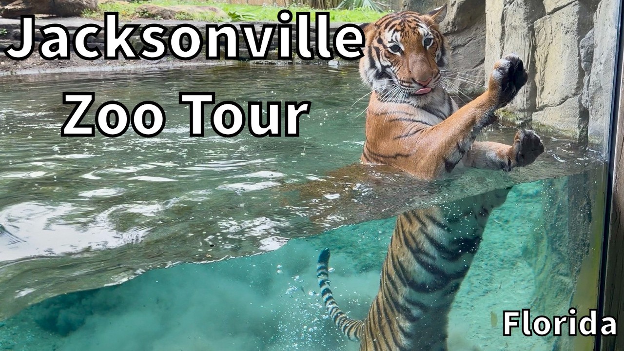 Tour of the Jacksonville Zoo & Botanical Garden - Jacksonville, Florida - USA