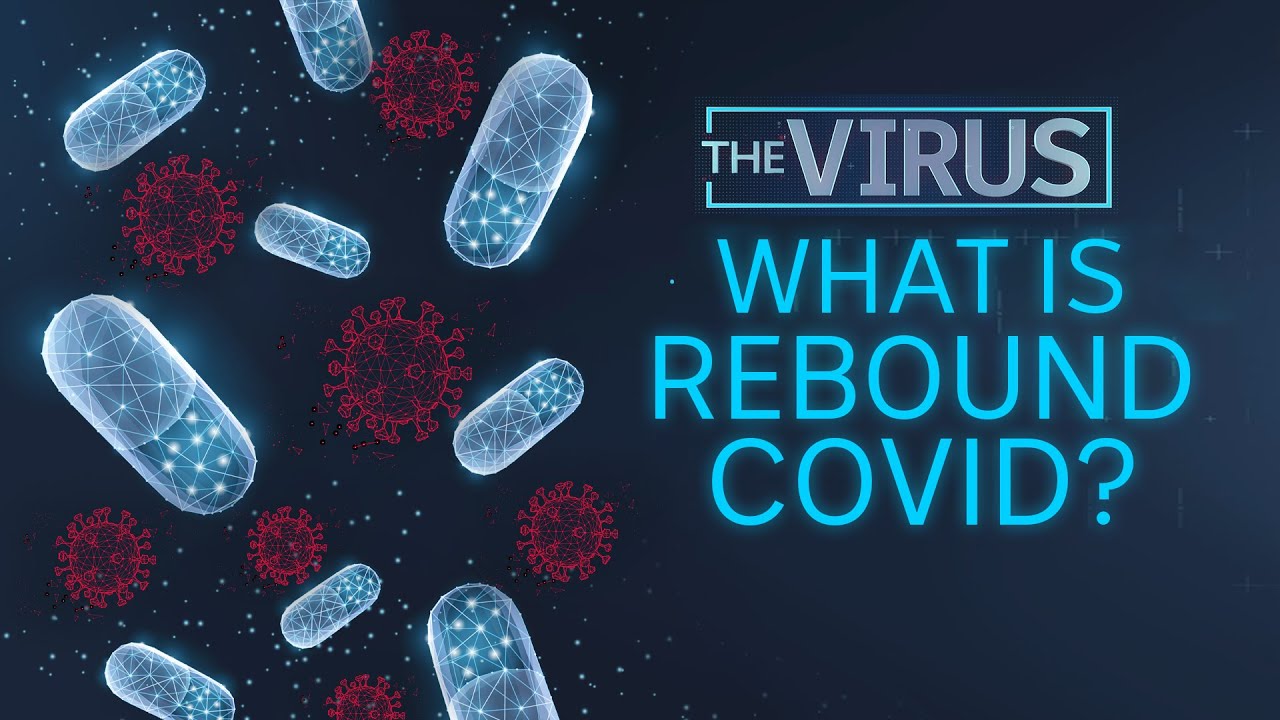 What are COVID infection 'rebounds' and will more Australians get it? | The Virus | ABC News