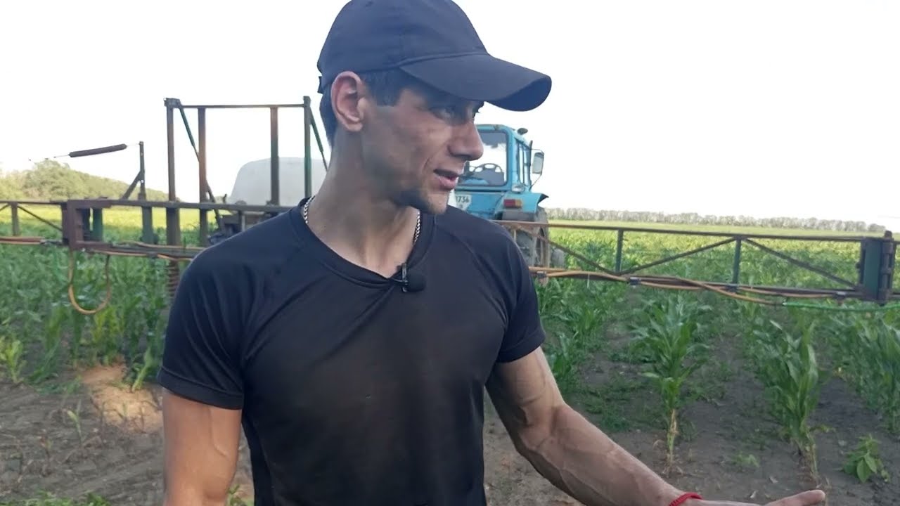 🌽Кукурудза ДБ Хотин ❗🙅📢 Не робіть так як я🤷❗❗